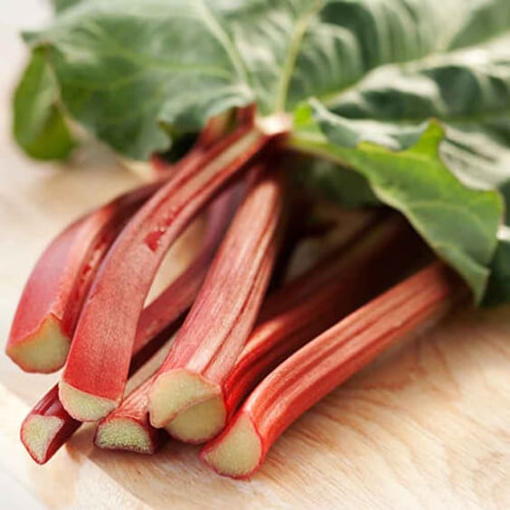 Victoria Rhubarb - Edible Plants